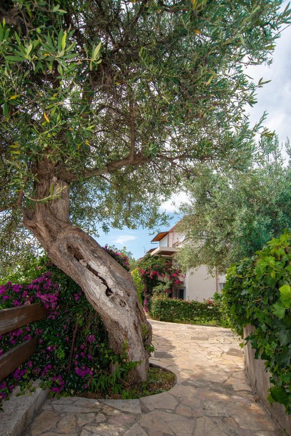 The Olive Terrace Apartments Palase Kültér fotó